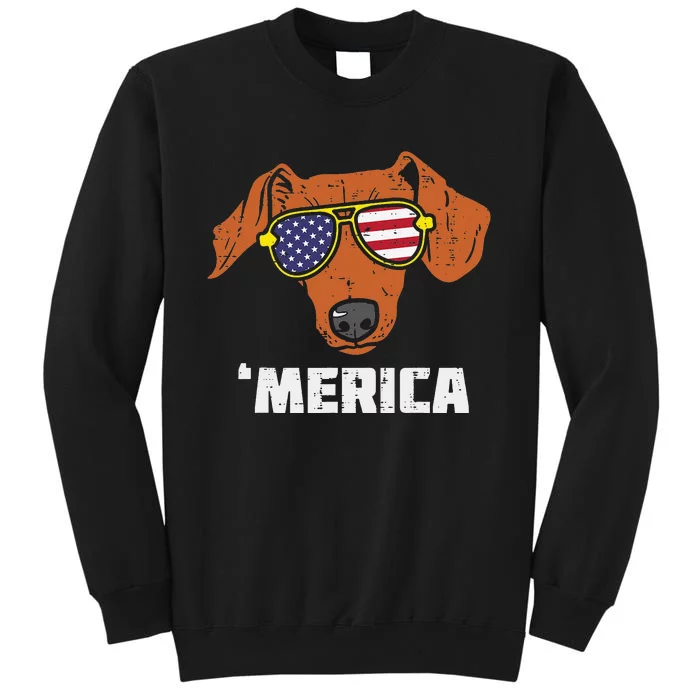 Dachshund Wiener American USA Flag 4th Of July Fourth Dog Tall Sweatshirt