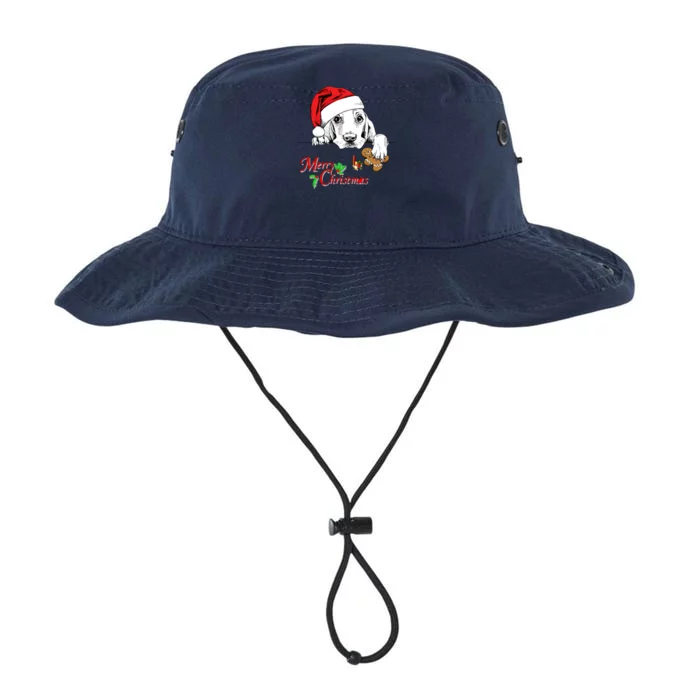 Dog Wearing Christmas Hat Legacy Cool Fit Booney Bucket Hat