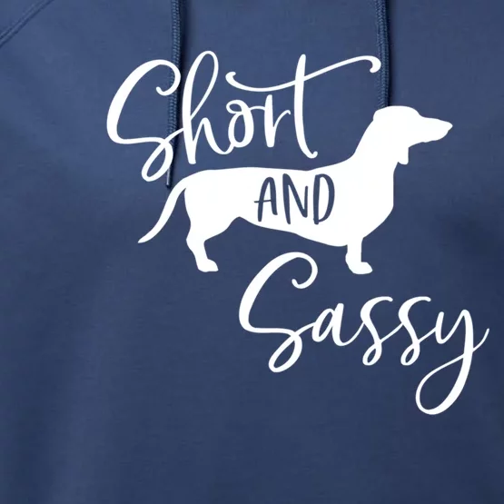 Dachshund Wiener Dog Great Gift Performance Fleece Hoodie