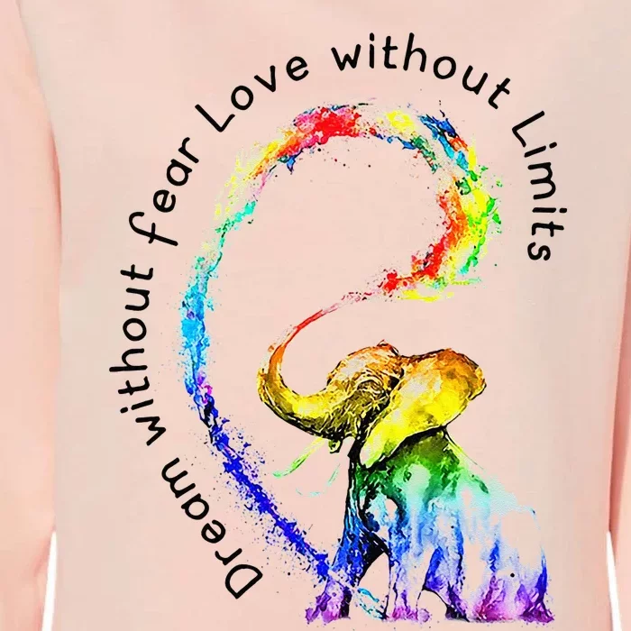 Dream Without Fear Love Without Limits Elephant LGBT Womens California Wash Sweatshirt