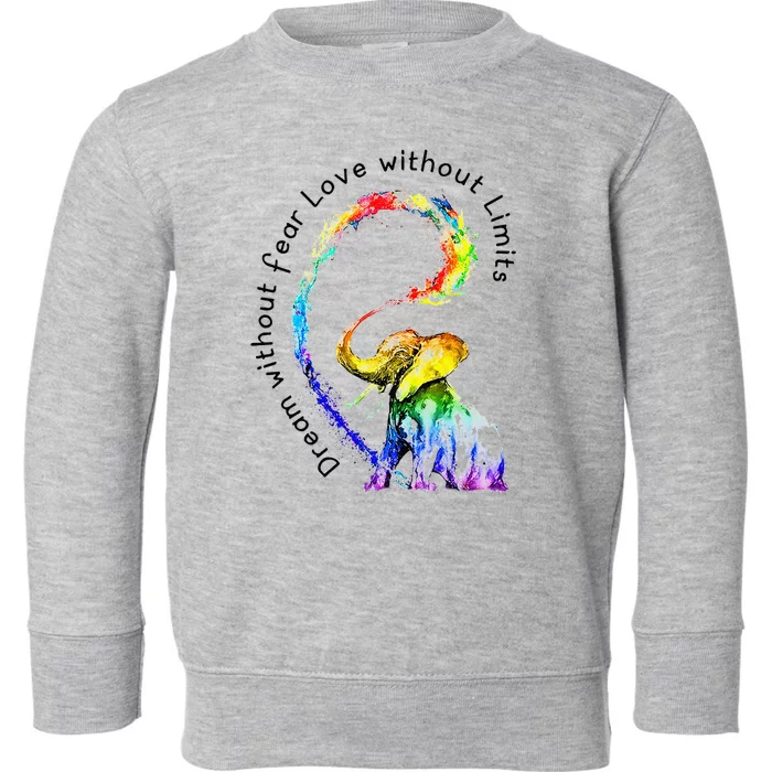 Dream Without Fear Love Without Limits Elephant LGBT Toddler Sweatshirt