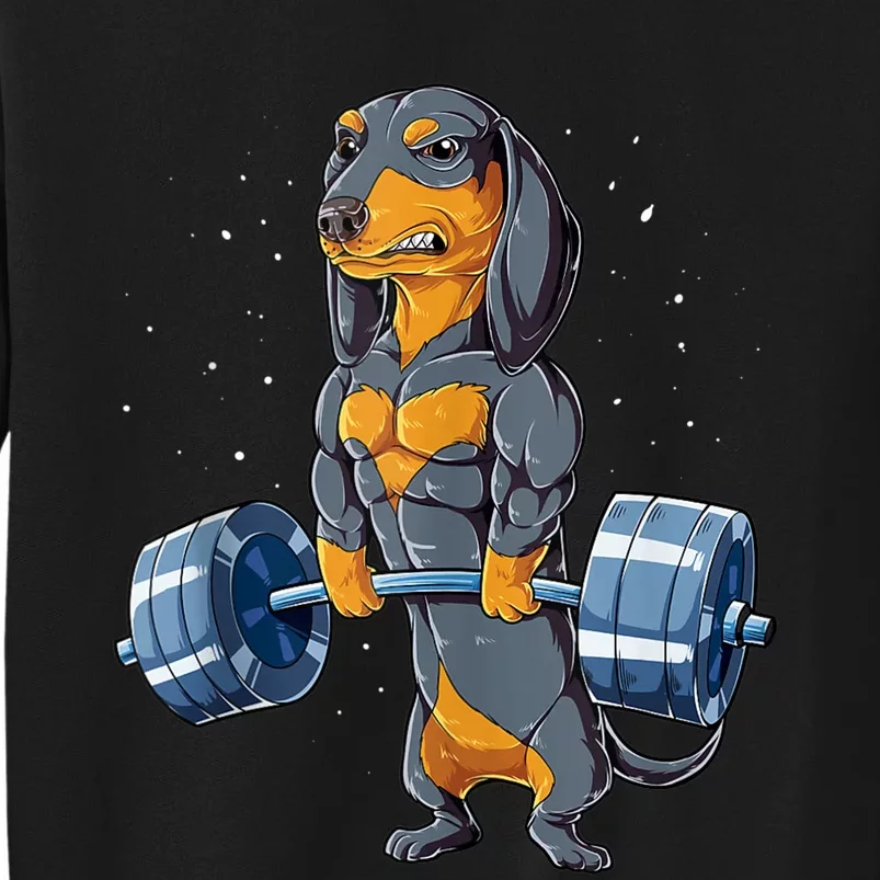 https://images3.teeshirtpalace.com/images/productImages/dwf8821018-dachshund-weightlifting-funny-gift-for-deadlift-men-fitness-gym-gifts--black-as-garment.webp?crop=1096,1096,x467,y334&width=1500
