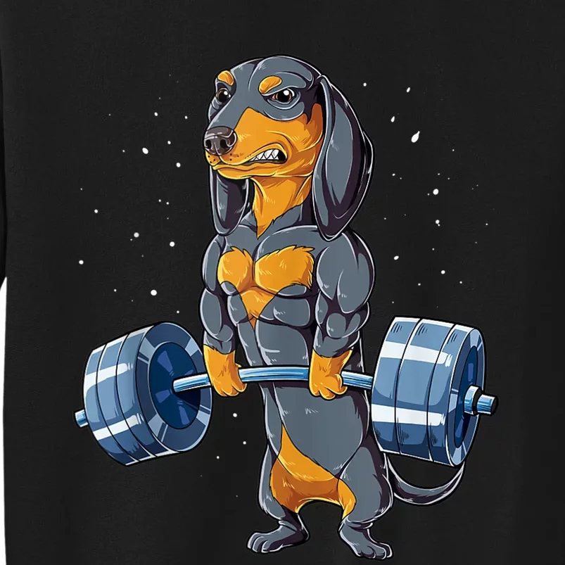 Dachshund Weightlifting Funny Gift For Deadlift Men Fitness Gym Gifts  Sweatshirt