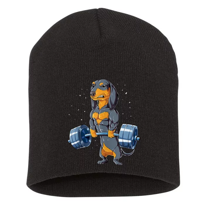 Dachshund Weightlifting Funny Gift For Deadlift Men Fitness Gym Gifts Short Acrylic Beanie