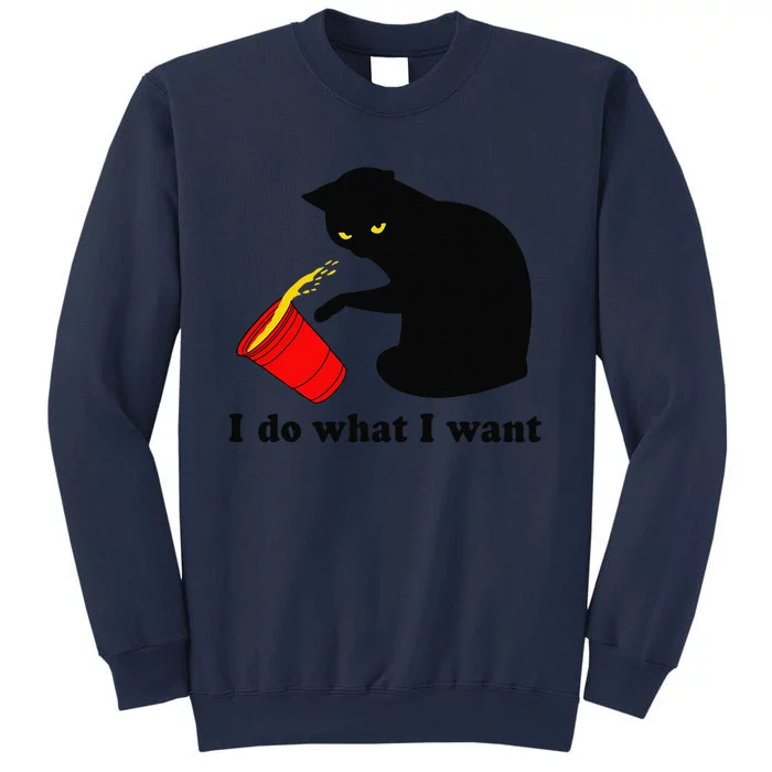 Do What I Want Black Cat Red Cup Funny Graphic Sweatshirt