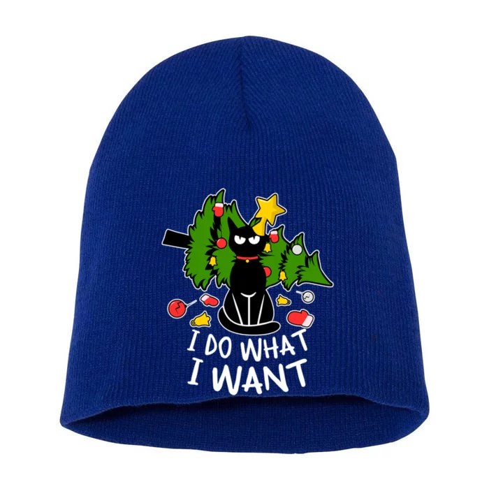 Do What I Want Funny Black Cat Christmas Tree Cat Lady Humor Gift Short Acrylic Beanie