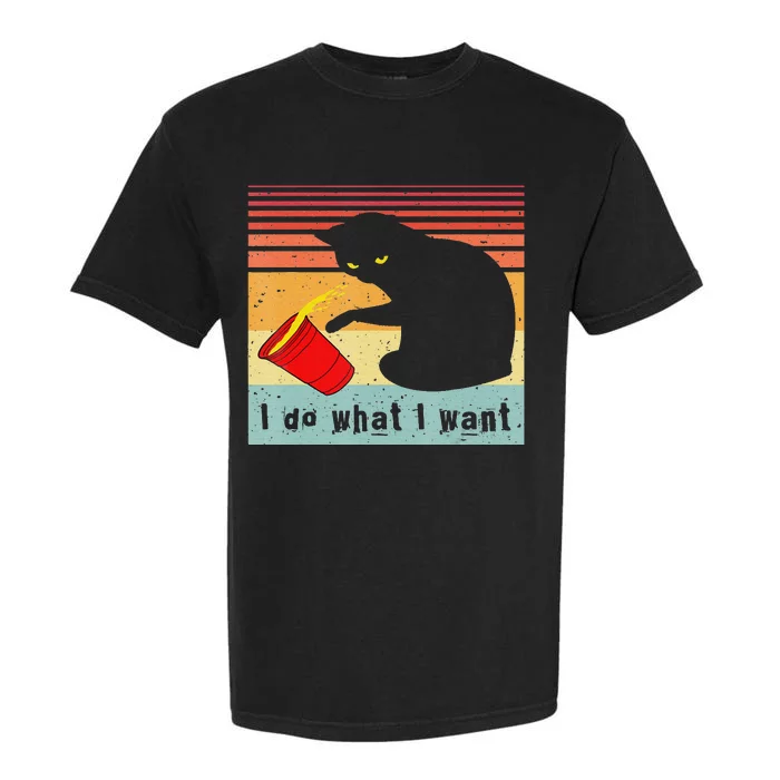 Do What I Want Vintage Black Cat Red Cup Funny Cat Garment-Dyed Heavyweight T-Shirt