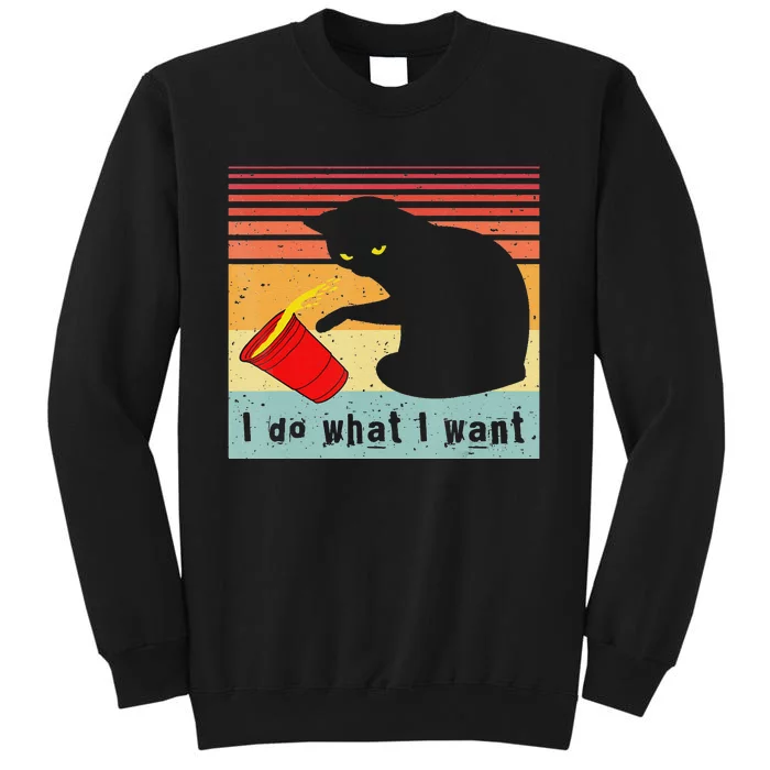 Do What I Want Vintage Black Cat Red Cup Funny Cat Sweatshirt