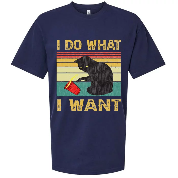 Do What I Want Vintage Black Cat Red Cup Funny My Cat Sueded Cloud Jersey T-Shirt