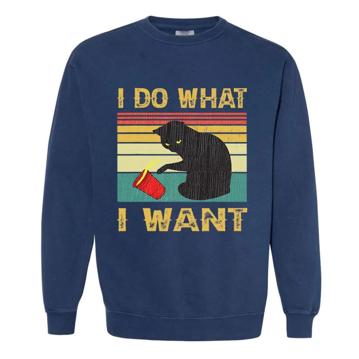 Do What I Want Vintage Black Cat Red Cup Funny My Cat Garment-Dyed Sweatshirt