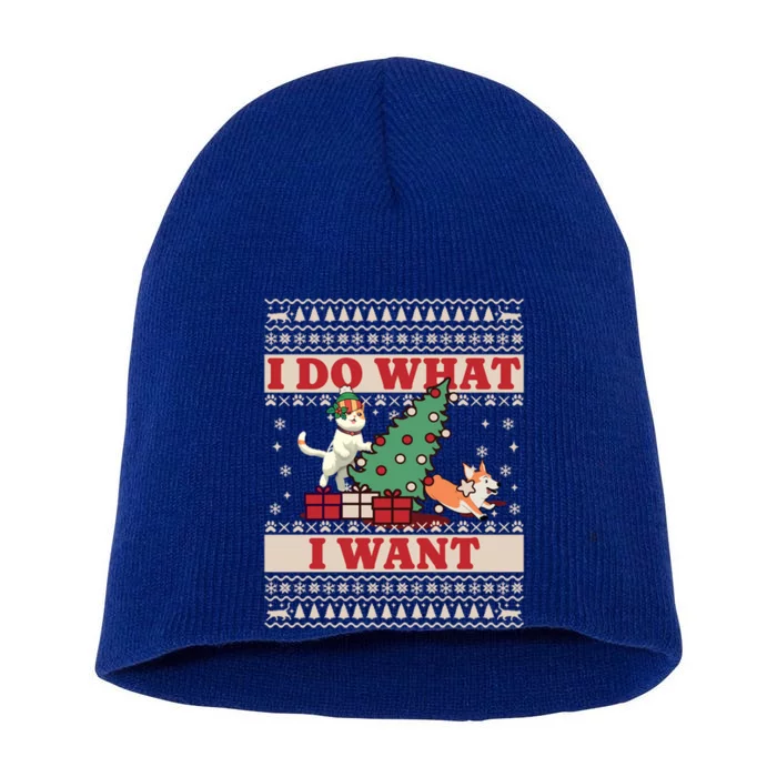 Do What I Want Cat Knocking Over Christmas Tree On Dog Cute Gift Short Acrylic Beanie