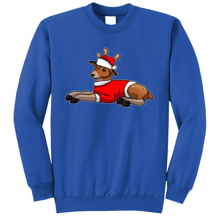 Deer Wearing Santa Hat And Sweater Christmas Gift Tall Sweatshirt