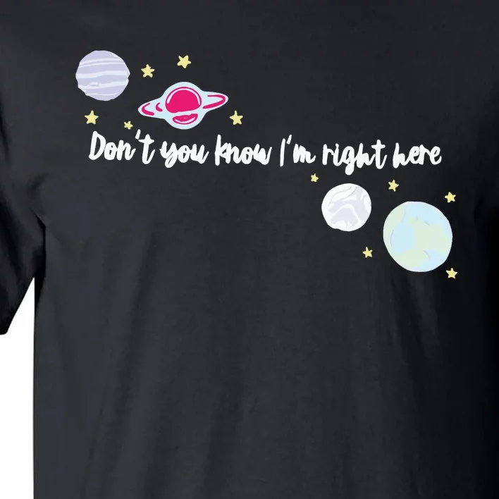 Dont You Know Im Right Here Satellite Harry EMBROIDERED Tall T-Shirt