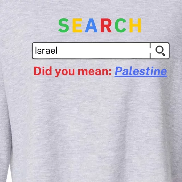 Did You Mean Palestine Free Palestine Gaza Peace Cropped Pullover Crew