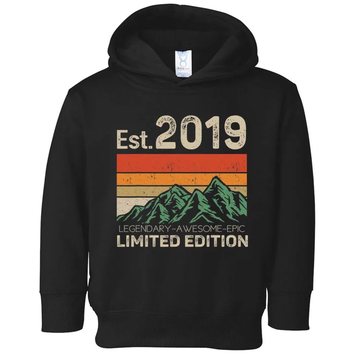 Est 2019 Legendary Awesome Epic Limited Edition 4th Birthday Toddler Hoodie