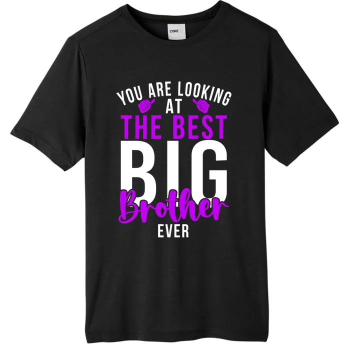 Ever Big Brother You Are Looking At The Best Big Brother ChromaSoft Performance T-Shirt