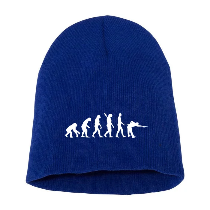 Evolution Billiards Funny Gift Short Acrylic Beanie