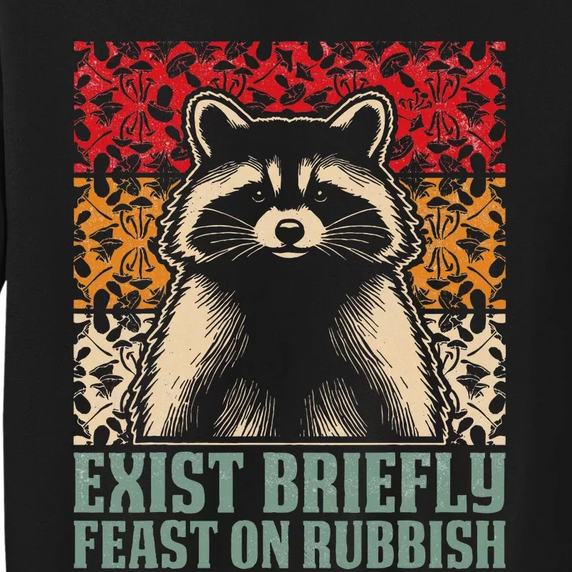 Exist Briefly Feast On Rubbish Raccoon Sweatshirt