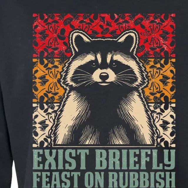 Exist Briefly Feast On Rubbish Raccoon Cropped Pullover Crew