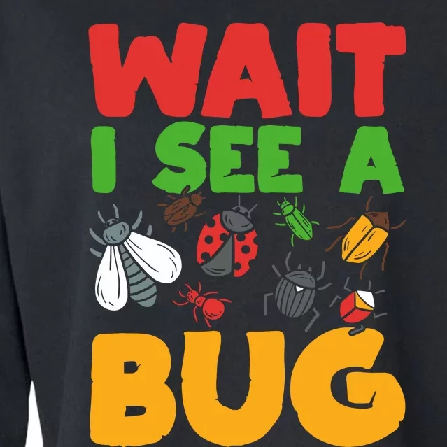 Entomologist Bug Insect Collector Entomology Cropped Pullover Crew