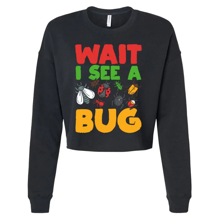 Entomologist Bug Insect Collector Entomology Cropped Pullover Crew