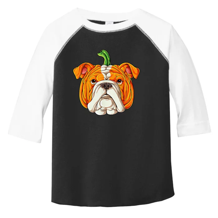 English Bulldog Pumpkin Halloween Funny Thanksgiving Gifts Toddler Fine Jersey T-Shirt