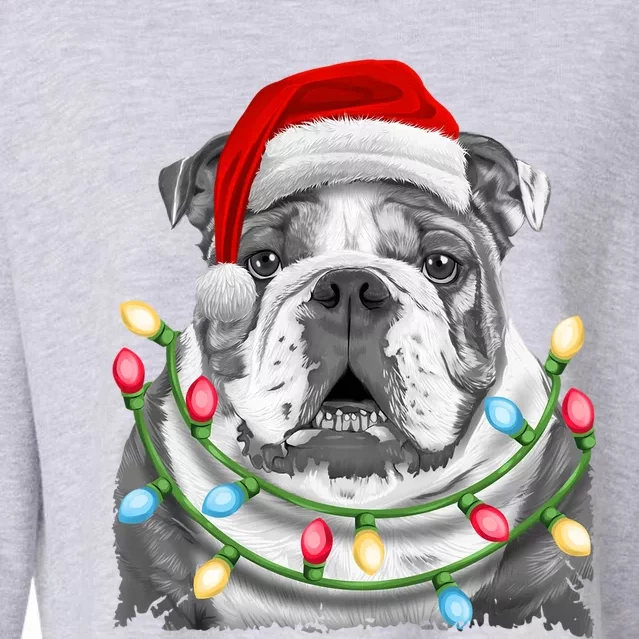 English Bulldog Santa Christmas Tree Lights Xmas Dog Cool Gift Cropped Pullover Crew