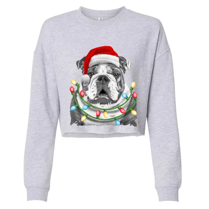 English Bulldog Santa Christmas Tree Lights Xmas Dog Cool Gift Cropped Pullover Crew