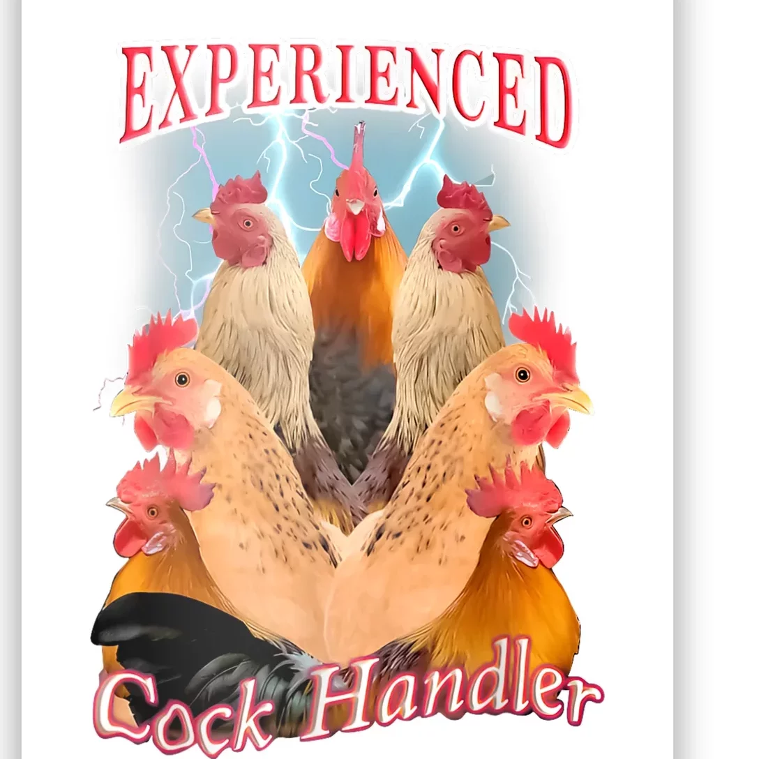 Experienced Cock Handler Poster