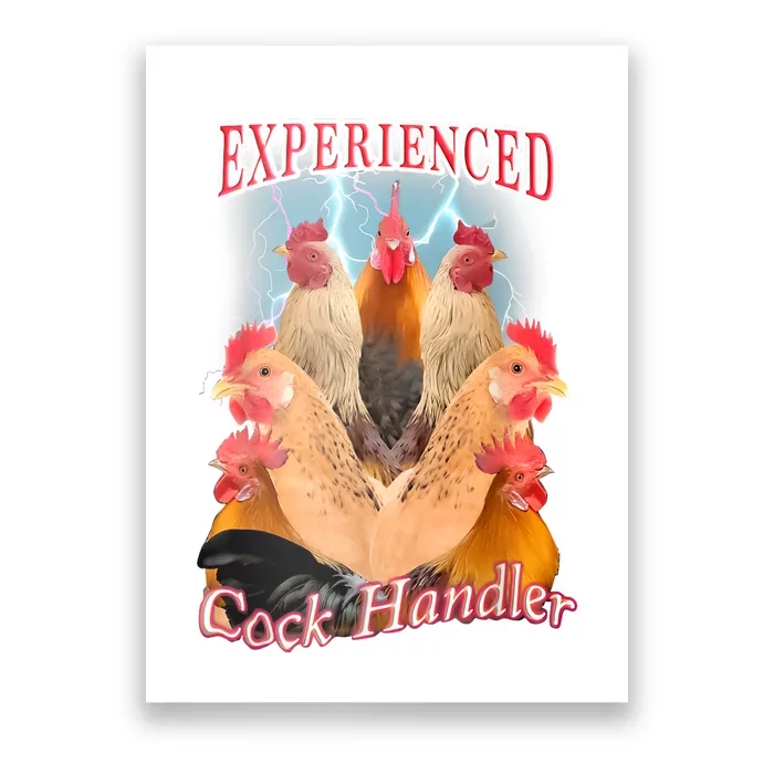 Experienced Cock Handler Poster