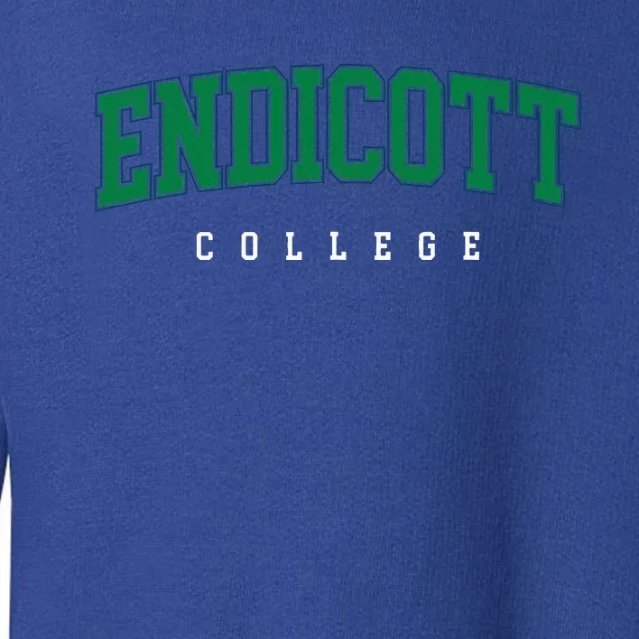 Endicott College Retro Toddler Sweatshirt