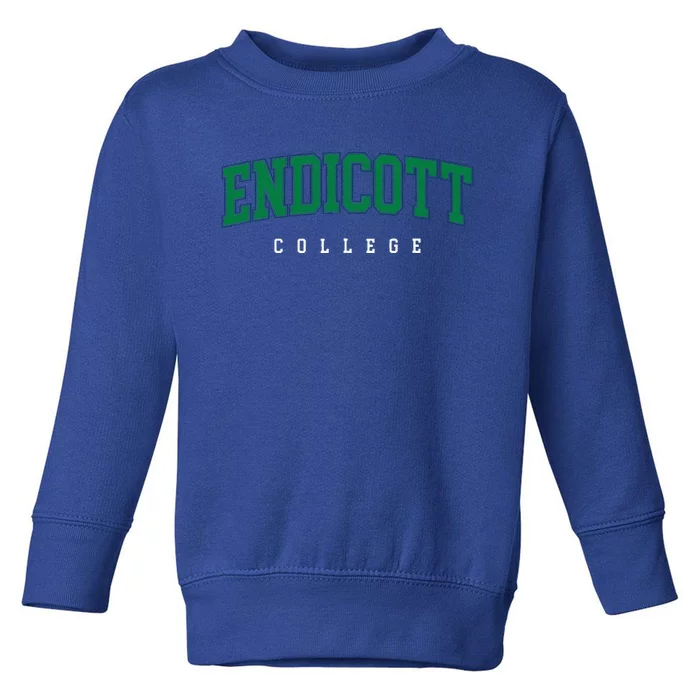 Endicott College Retro Toddler Sweatshirt