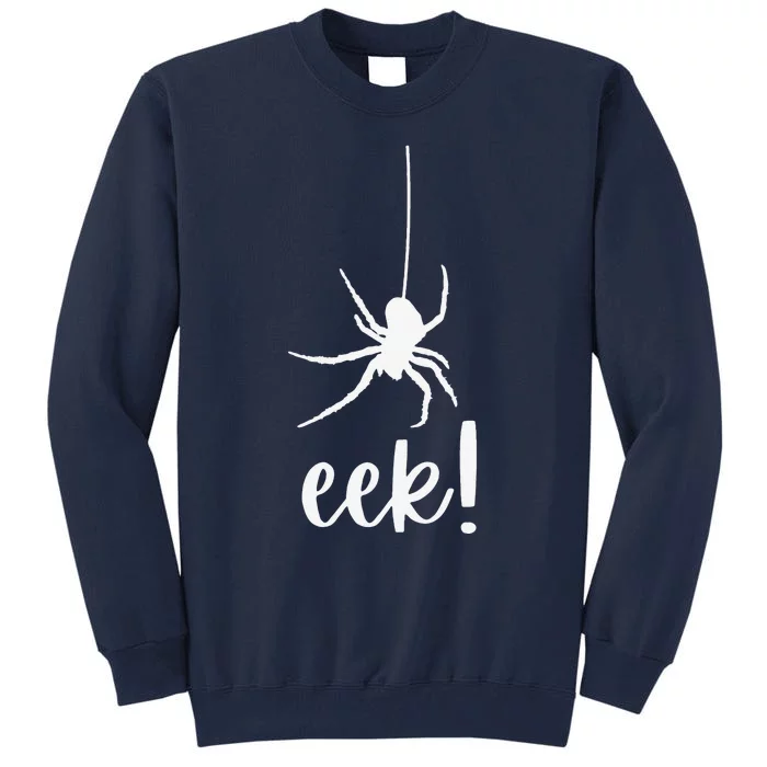 Ekk! Cute Spider Halloween Costume For Women Or Tall Sweatshirt