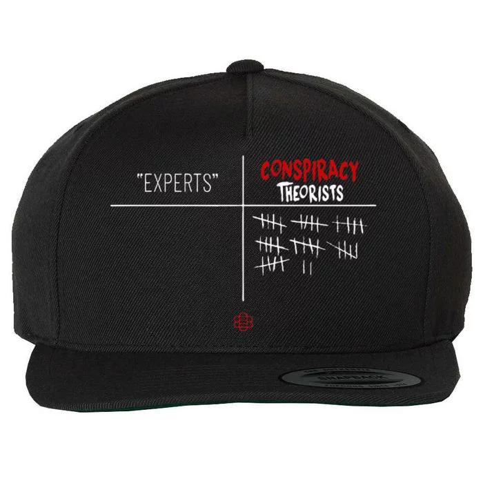 Experts Conspiracy Theorists White And Red Text Wool Snapback Cap