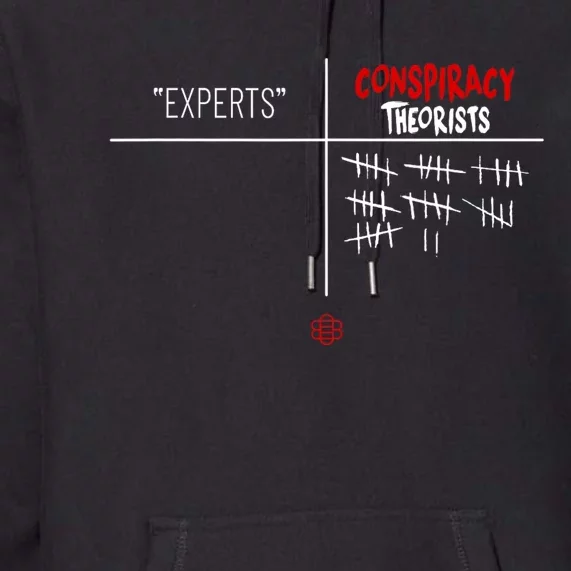 Experts Conspiracy Theorists White And Red Text Premium Hoodie