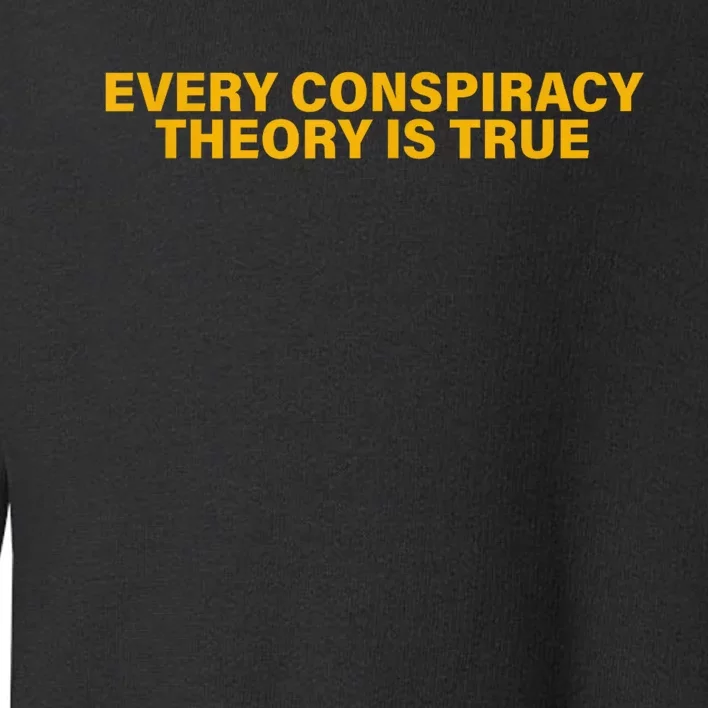 Every Conspiracy Theory Is True Funny Toddler Sweatshirt