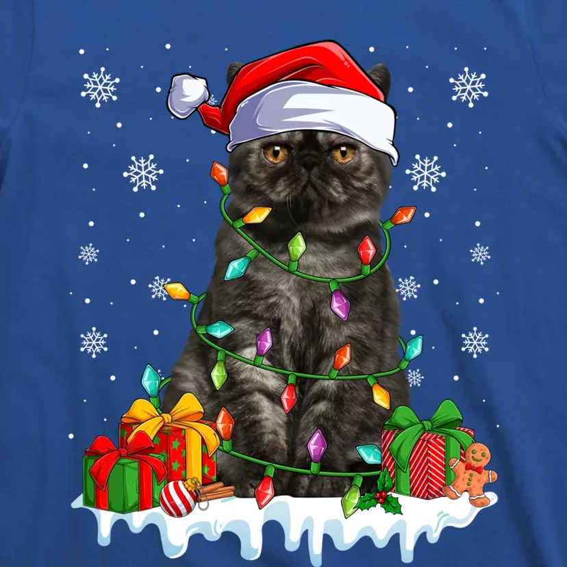 Exotic Cat Xmas Light Christmas Kitten Lover Gift T-Shirt