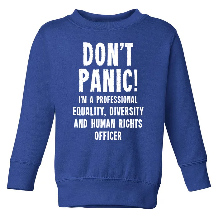 Equality Diversity And Hu Rights Officer Gift Toddler Sweatshirt