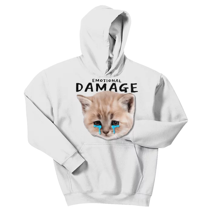 Emotional Damage Cat Kids Hoodie