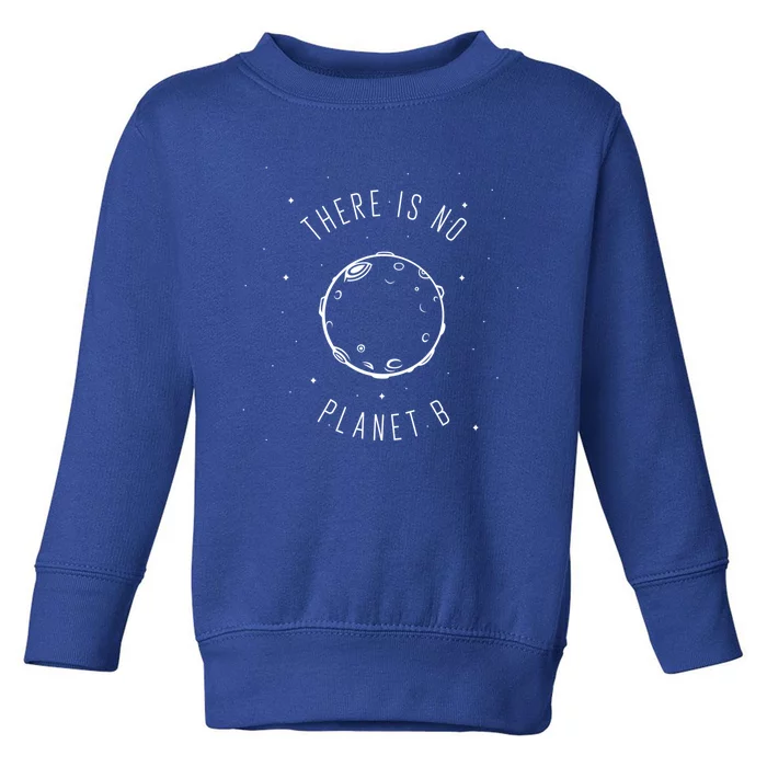 Earth Day Environtal Funny Gift There Is No Planet B Funny Gift Toddler Sweatshirt