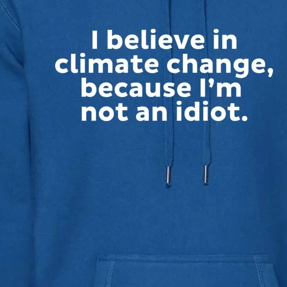 Earth Day Save The Planet I Believe In Climate Change Meaningful Gift Premium Hoodie