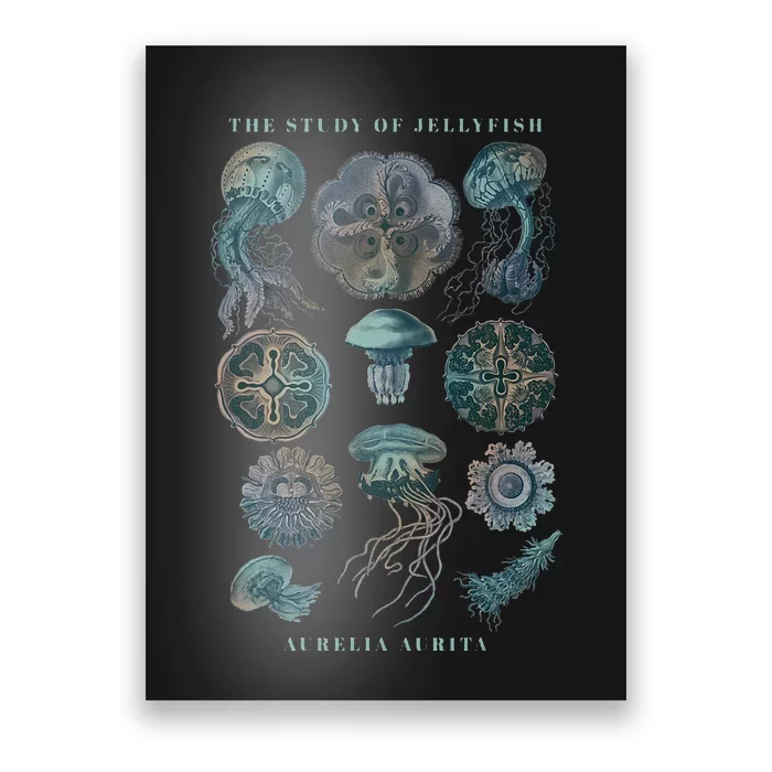 Earth Day The Study Of Jellyfish Poster