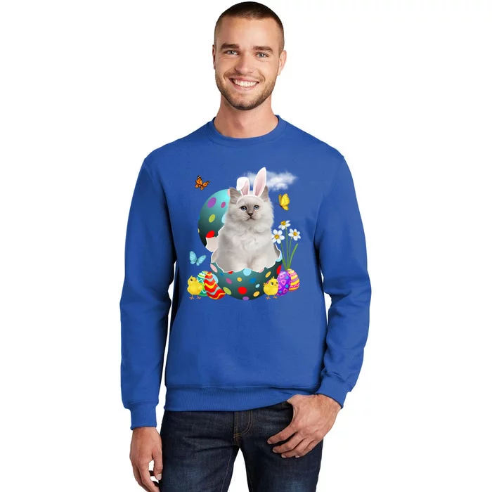 Easter Eggs Bir Bunny Cat Funny Gift Cat Dad Cat Mom Gift Tall Sweatshirt