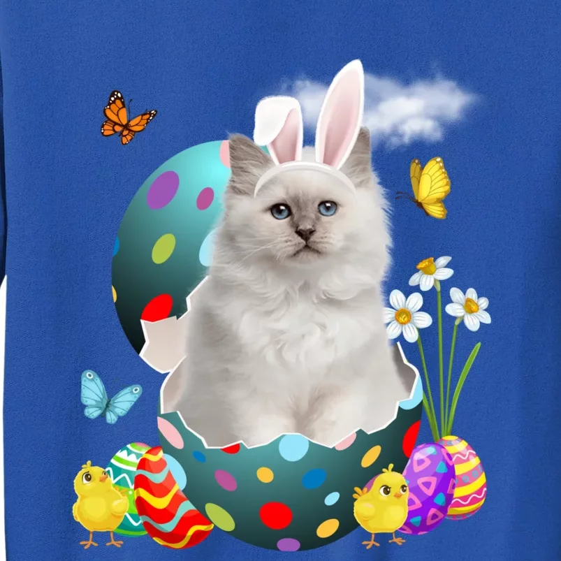 Easter Eggs Bir Bunny Cat Funny Gift Cat Dad Cat Mom Gift Tall Sweatshirt