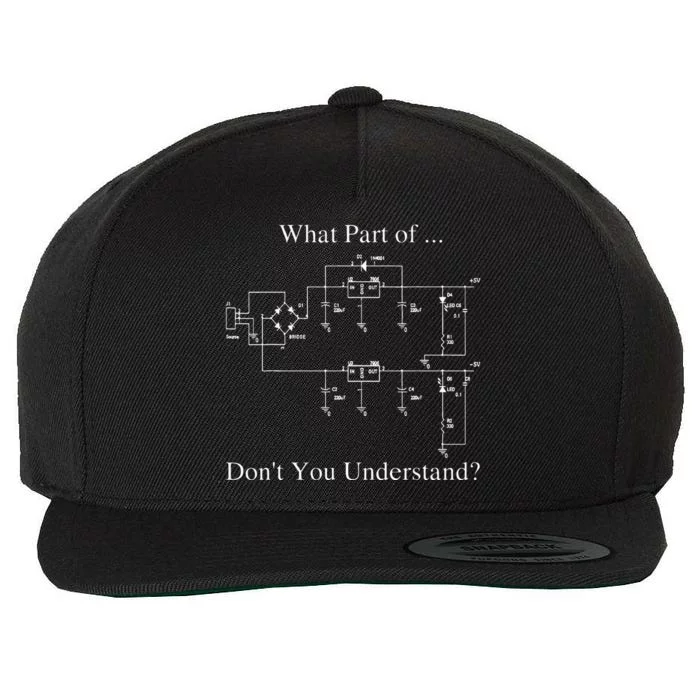 Electrical Engineer Gift Funny Technology Sarcasm Wool Snapback Cap