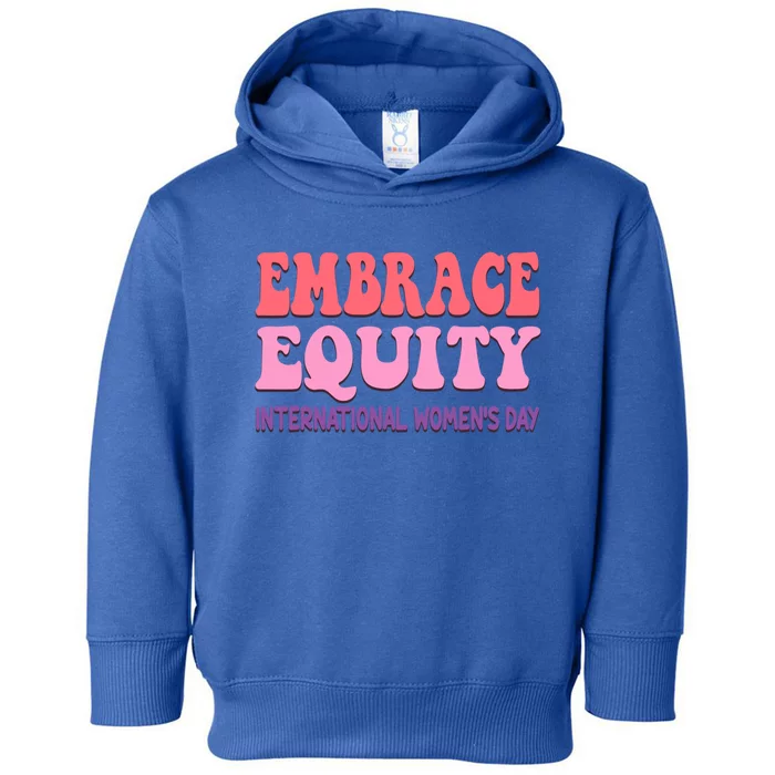 Embrace Equity International Day Parade Gift Toddler Hoodie