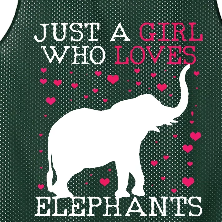 Elephants Elephant Just A Who Loves Tee Mesh Reversible Basketball Jersey Tank