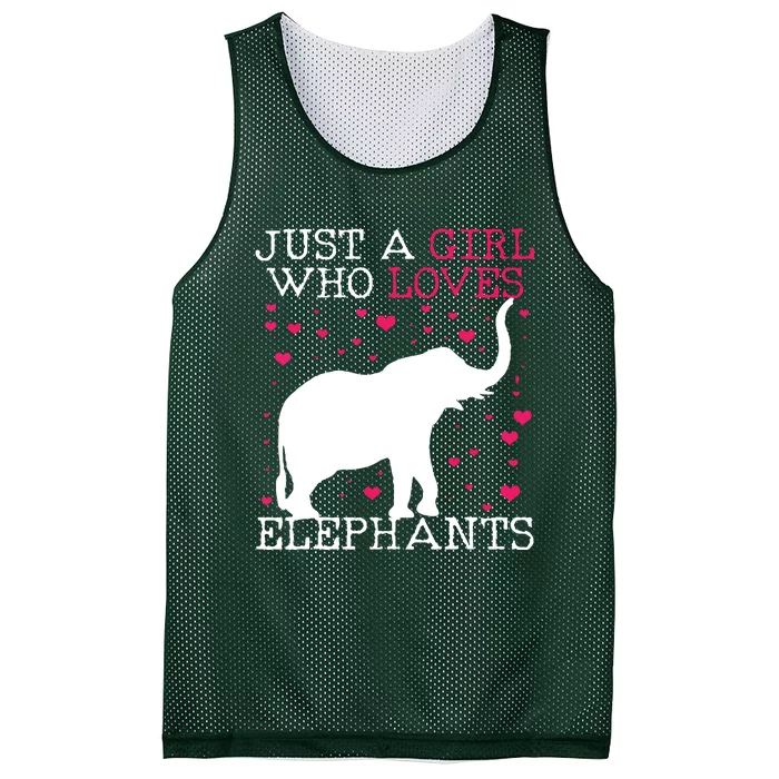 Elephants Elephant Just A Who Loves Tee Mesh Reversible Basketball Jersey Tank