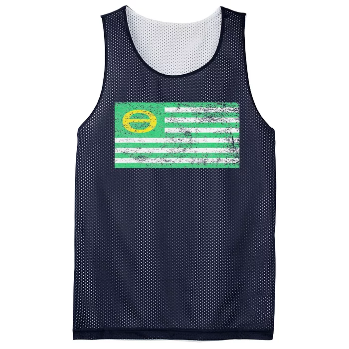 ECOLOGY FLAG ENVIRONMENTALISM EARTH DAY Mesh Reversible Basketball Jersey Tank