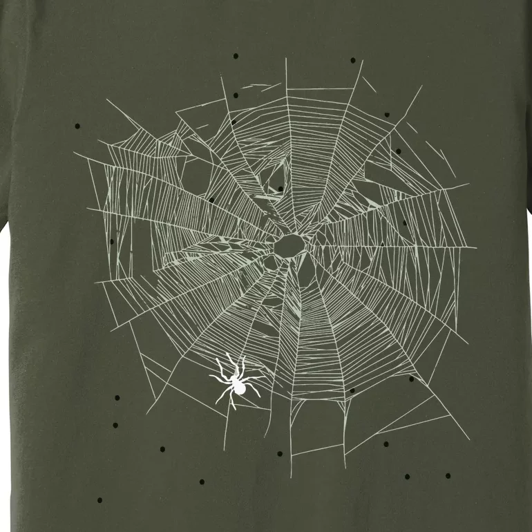 Entomologist Gift Idea Cobweb Spider Premium T-Shirt